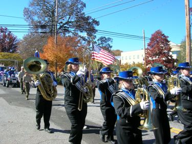 Download Veterans' Day Parade (375Wx281H)